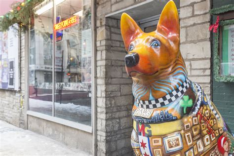 Downtown Dogs.
